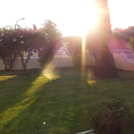 Tamatramas Albufeira